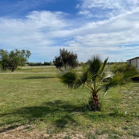 « La Parenthese » Gite En Camargue Arles Ngoại thất bức ảnh