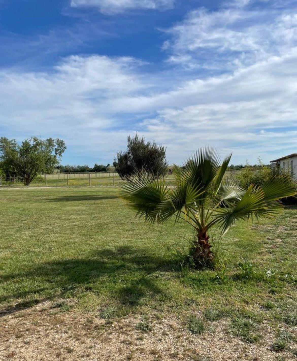 « La Parenthese » Gite En Camargue Arles Ngoại thất bức ảnh